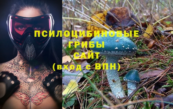 прущие крисы Осташков