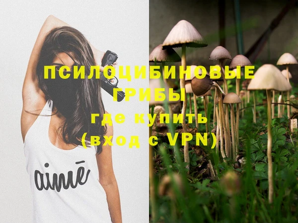 кокс Осинники