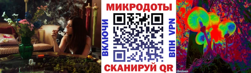 Галлюциногенные грибы Psilocybe  закладки  Армавир 