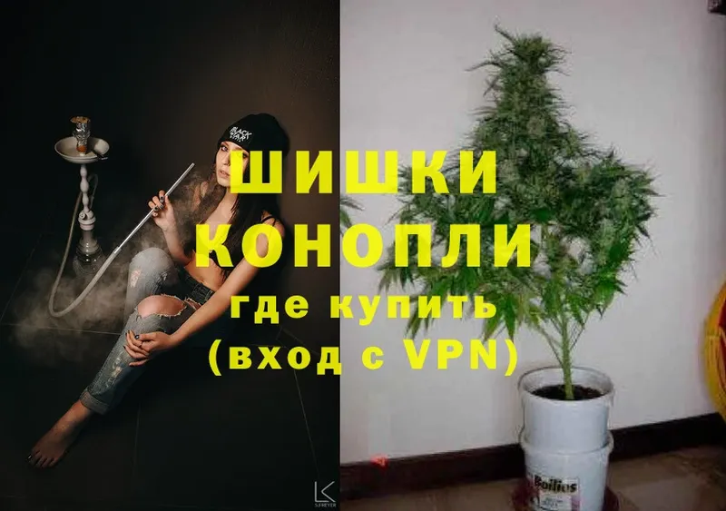 Конопля SATIVA & INDICA  Армавир 