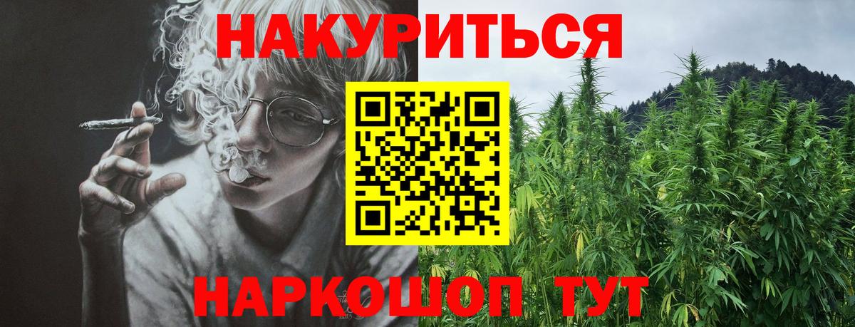 Бошки марихуана планчик  Конопля Amnesia  Канабис ГИДРОПОН  Вход с VPN  Армавир 